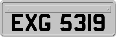 EXG5319