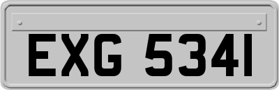 EXG5341