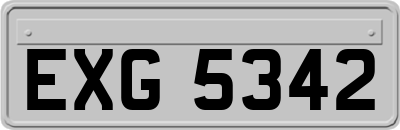 EXG5342