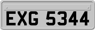 EXG5344