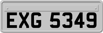EXG5349