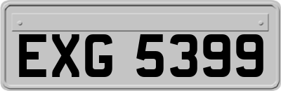 EXG5399
