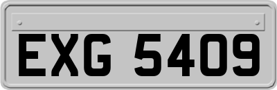 EXG5409