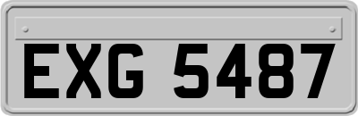EXG5487