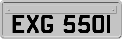 EXG5501