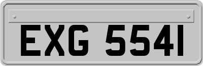 EXG5541