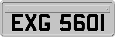 EXG5601