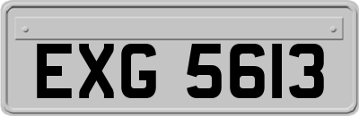 EXG5613