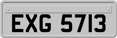 EXG5713