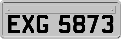 EXG5873