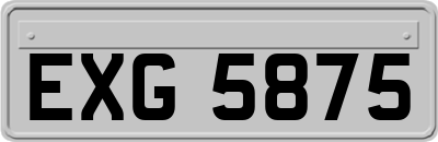 EXG5875