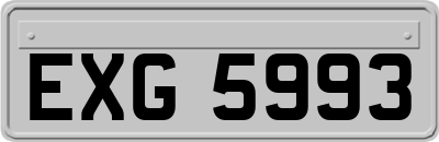 EXG5993