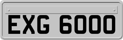 EXG6000