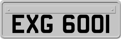 EXG6001