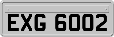 EXG6002