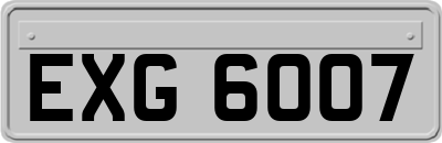 EXG6007