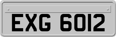 EXG6012
