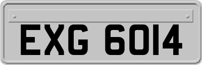 EXG6014