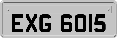 EXG6015