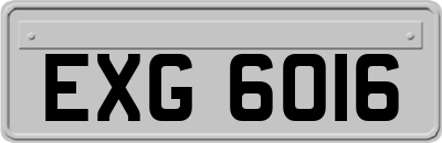 EXG6016