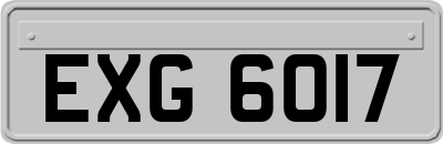 EXG6017