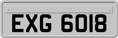 EXG6018