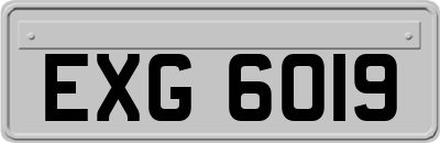 EXG6019