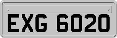 EXG6020