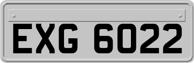 EXG6022
