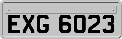 EXG6023