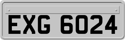 EXG6024