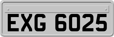 EXG6025