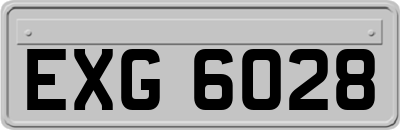 EXG6028