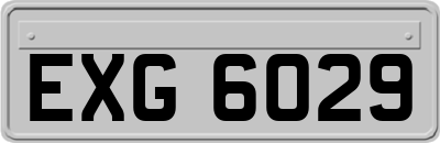 EXG6029