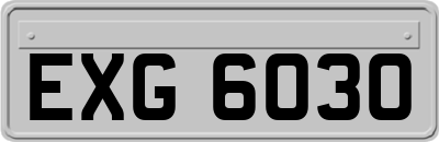 EXG6030