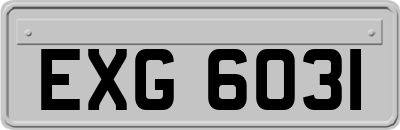 EXG6031