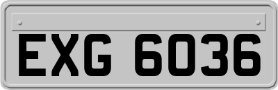 EXG6036