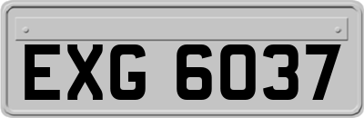 EXG6037