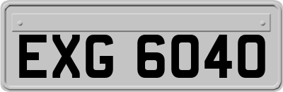EXG6040