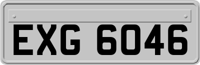 EXG6046