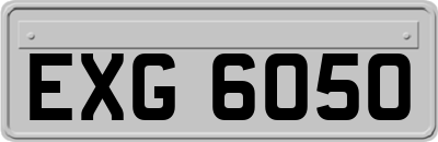 EXG6050