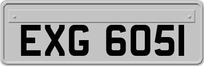 EXG6051