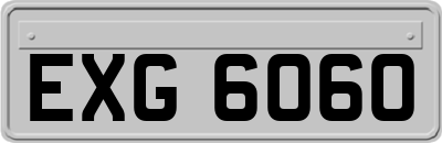 EXG6060