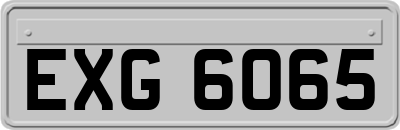 EXG6065