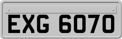 EXG6070