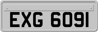 EXG6091