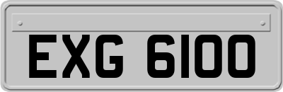 EXG6100