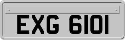 EXG6101