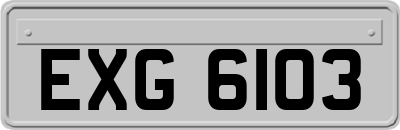 EXG6103