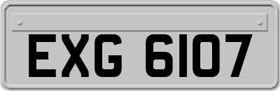 EXG6107